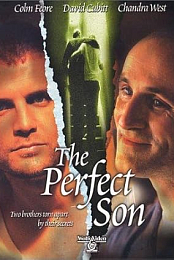 A Perfect Son