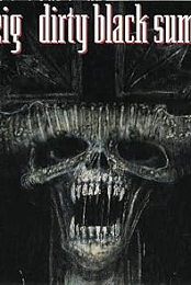 Danzig: Dirty Black Summer