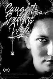 Caught in the Spiders Web