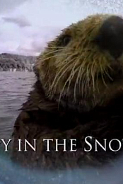Spy in the Snow