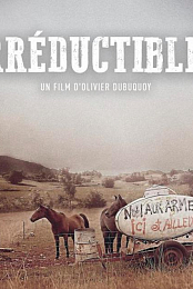 Irreductibles