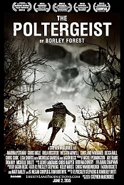Tooken 2015 720p BluRay x264-NOSCREENS