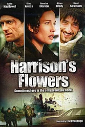 Harrison's Flowers