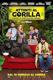 Beware the Gorilla