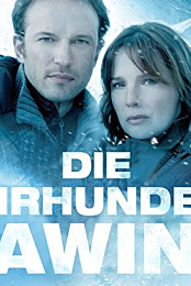 Die Jahrhundertlawine