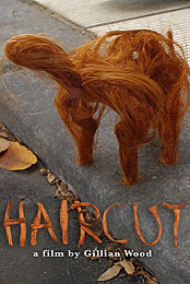 Haircut