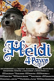 Heidi 4 Paws