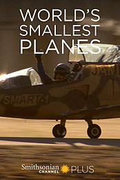 World's Smallest Planes