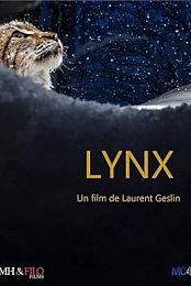 Lynx