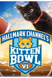 Kitten Bowl VI