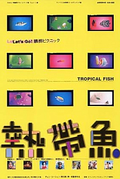 Tropical Fish