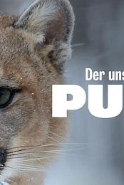 Puma, le fantome du Gevaudan