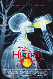 yEDU Human Body,The
