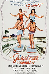 Gidget Goes Hawaiian