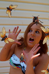 Invasion of the Killer Cicadas