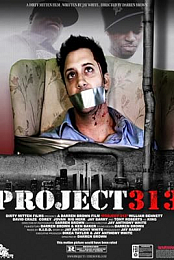 Project 313