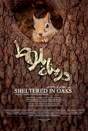 Sheltered in Oak