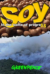 Soja, Em Nome do Progresso