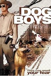 Como Assistir?