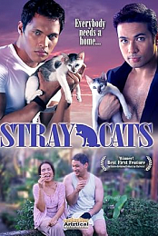 Stray Cats