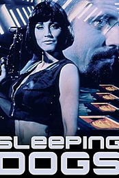 Sleeping Dogs