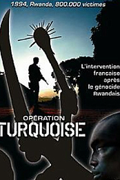 Operation Turquoise