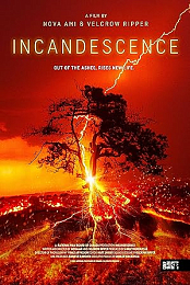 Incandescence