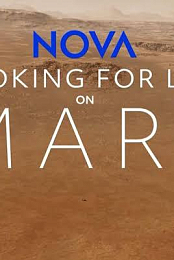 Looking for Life on Mars