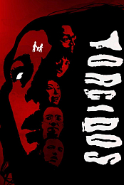 Torcidos