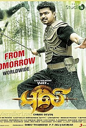 Puli