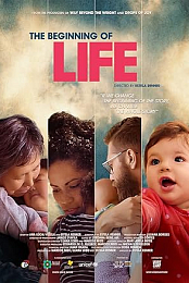 The Beginning of Life