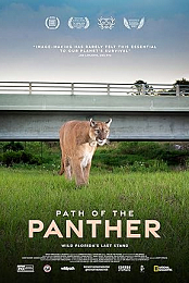 Path of the Panther