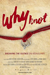 Why.Knot.2016.720p.WEB.x264-STRiFE