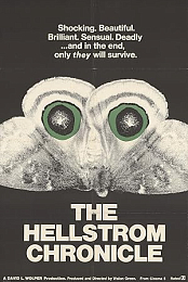 The Hellstrom Chronicle