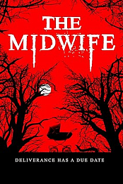 The Midwife 2021 PROPER 1080p WEBRip x264