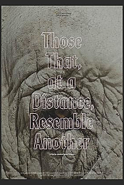 Those That, at a Distance, Resemble Another