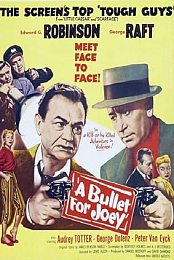 A Bullet for Joey