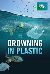 Drowning in Plastic