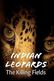 Indian Leopards: The Killing Fields