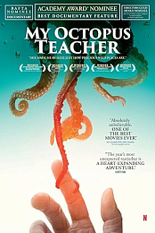 My Octopus Teacher