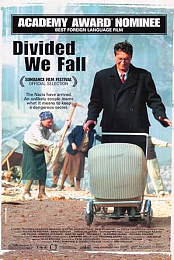 Divided We Fall
