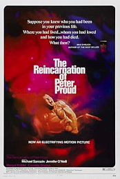 The Reincarnation of Peter Proud