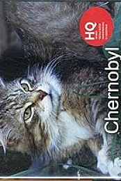 Chernobyl.Reclaimed.2007.WEBRip.x264-ION10