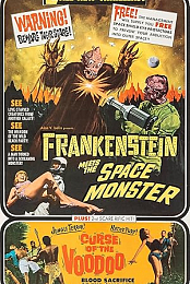 Frankenstein Meets The Space Monster
