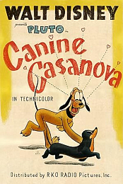 Canine Casanova