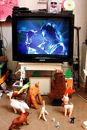 Bjork: Live at Cambridge
