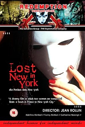 Lost in New York