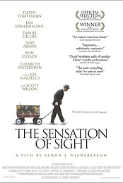 The Sensation of Sight