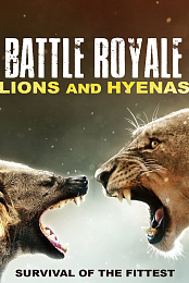 Battle Royale: Lions and Hyenas