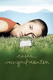 Insignificant Things